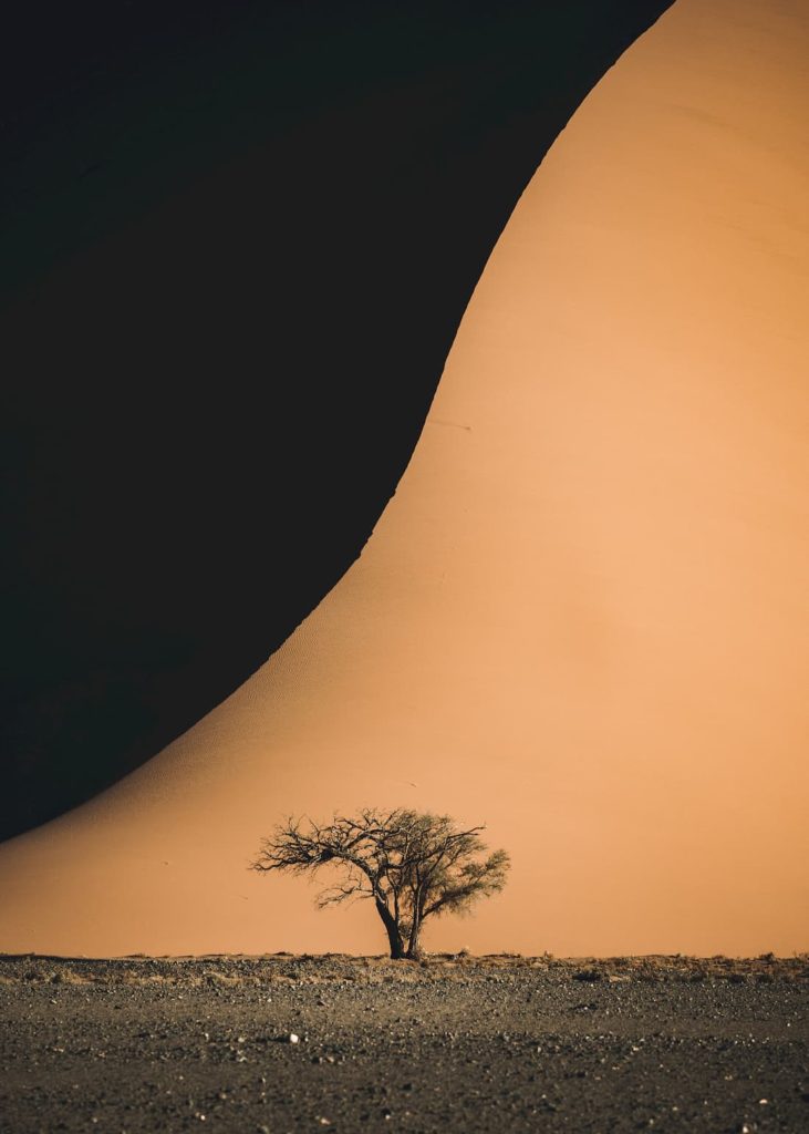 Namibia, Namib Desert, Maximilian Lehrke