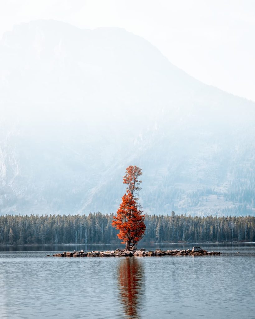 USA, Grand Teton Natinoal Park, @synchhayds