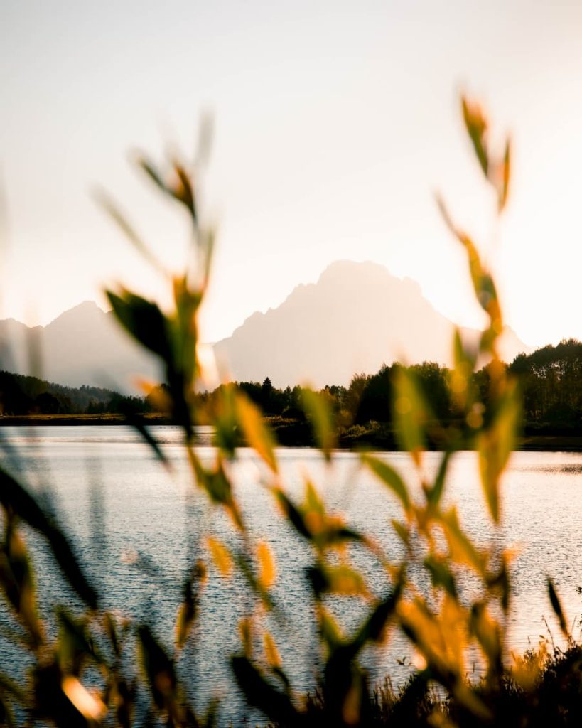 USA, Grand Teton National Park, Hayden 12