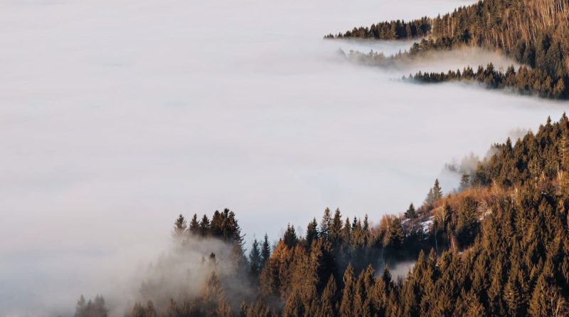 @inouie_melanie - france - isère