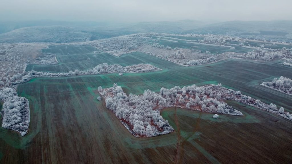 Frozen_Field_Bulgaria_@loradineva