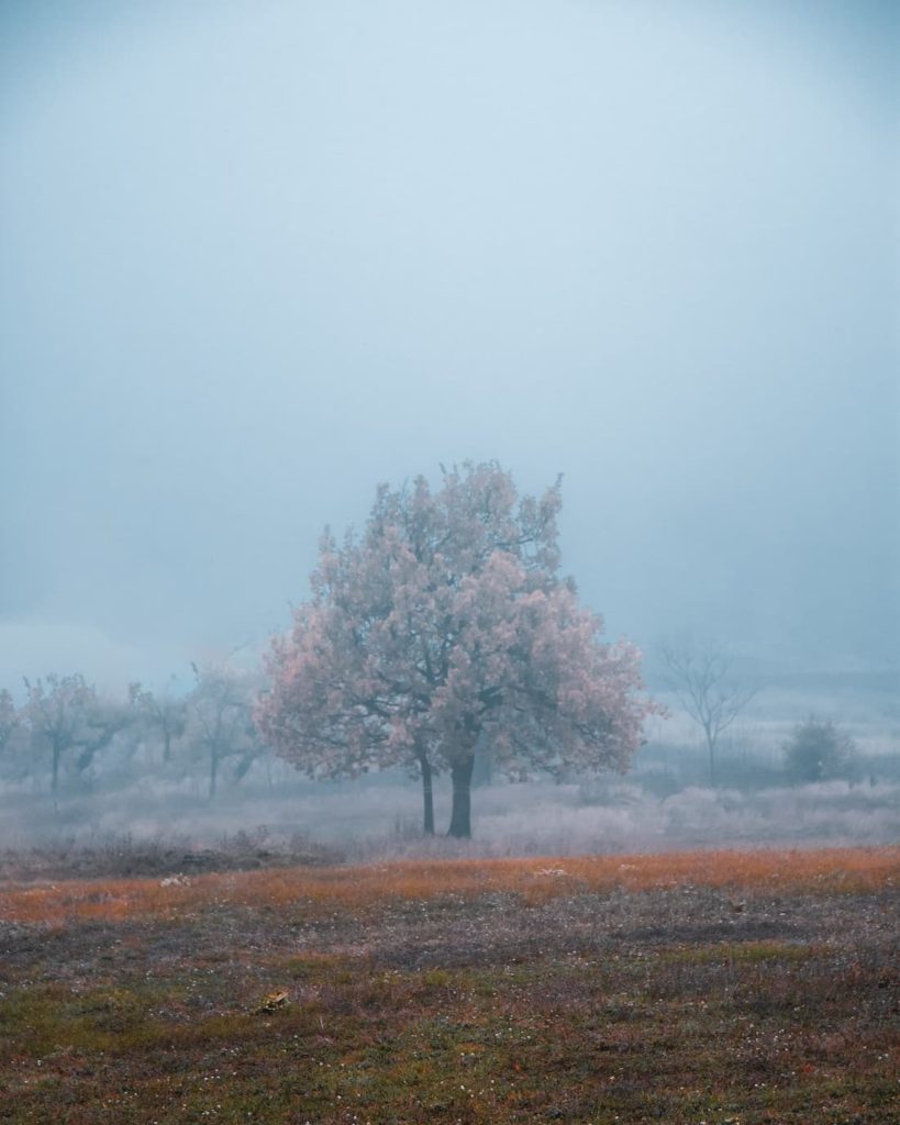 In_The_Mist_Bulgaria__@loradineva