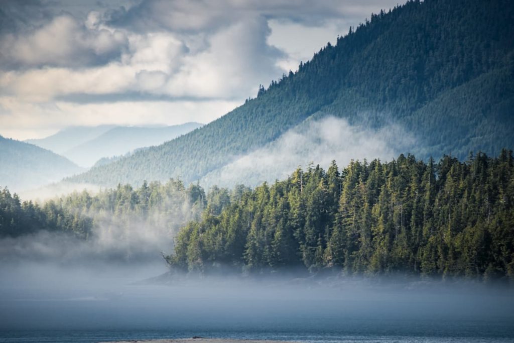 Tofino, Vancouver Island, Canada