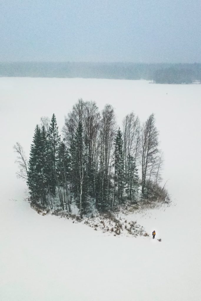 @iampavelche_Forest_aerial_view