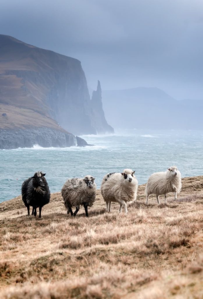 @tales.of.the.north_Faroe_Islands