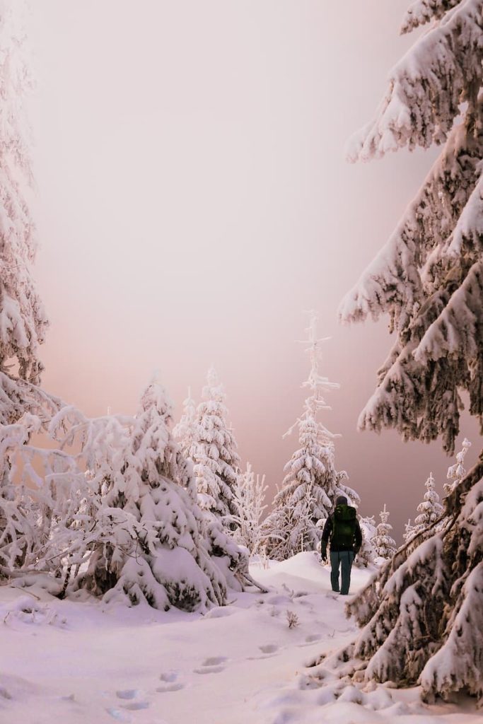 Germany-BavarianForest-Arber10-@berg_geschichten