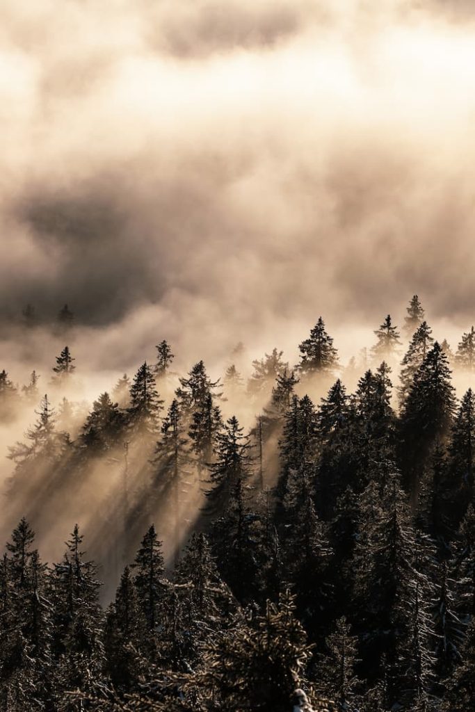 Germany-BavarianForest-Arber2-@berg_geschichten