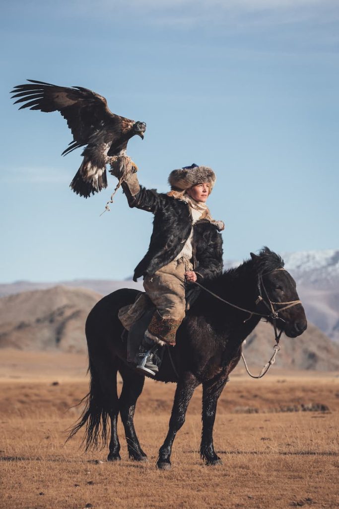 @asasteinars_Portrait_Mongolia_Horse