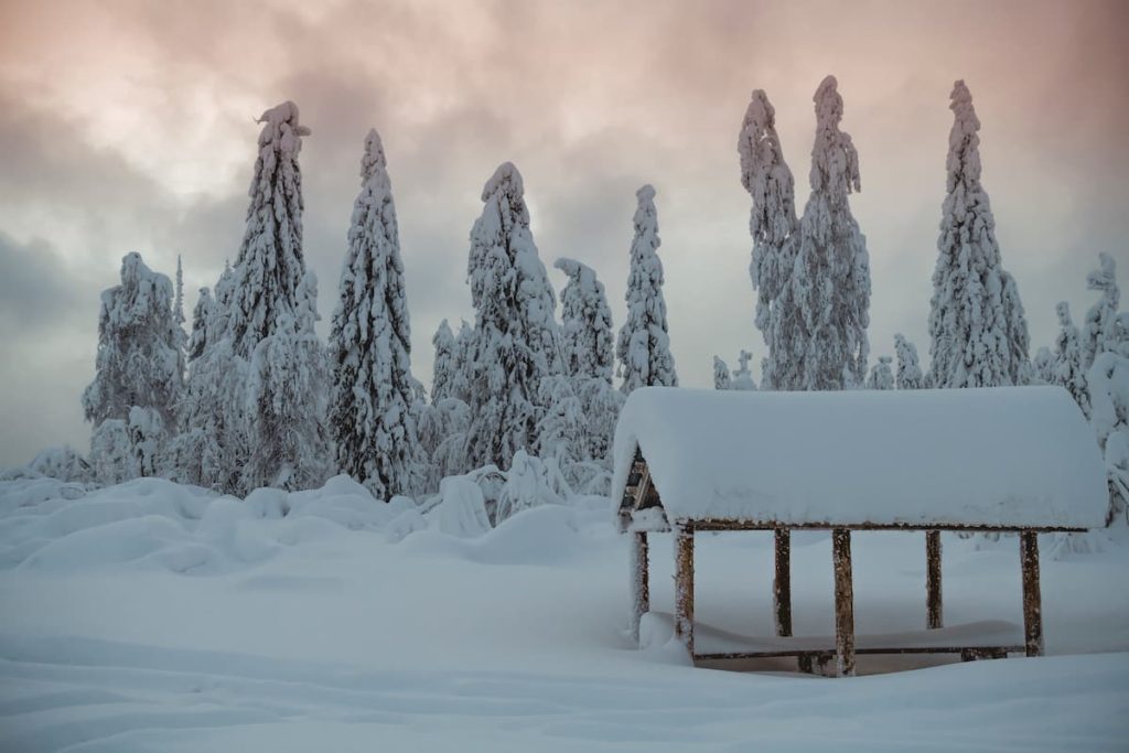 Russia, Perm region, Arbor @maxmonochkov