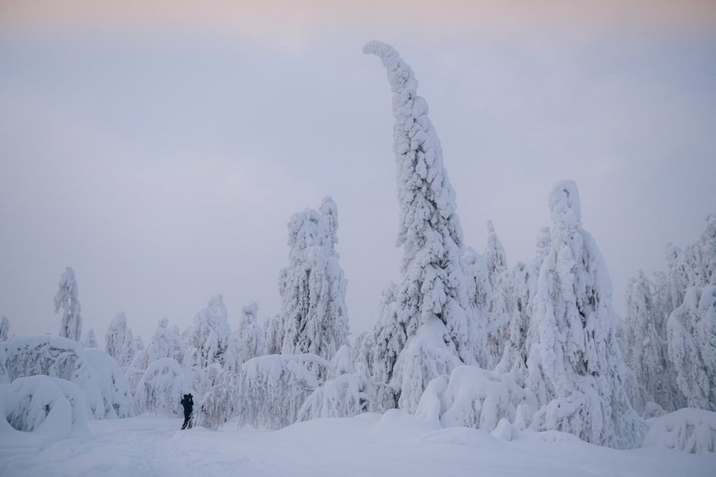 Russia, Perm region, Russian winter @maxmonochkov