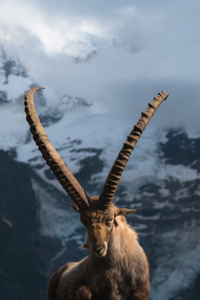 @robin.schnd, France, Les Houches, French alps