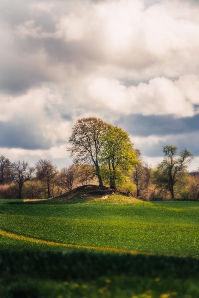 Denmark, Contry side road at Gevninge, Mikkel Heinricy, @mikkel_heinricy