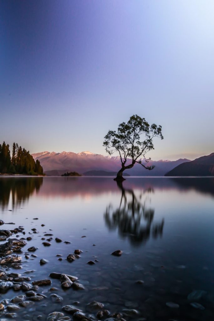 New Zealand- Wanaka - @farfadexphotography