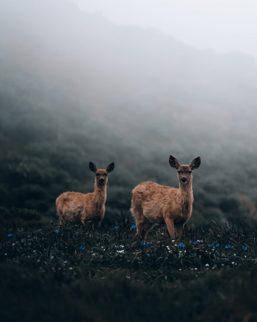 Point Reyes Seashore, @zachary.salter