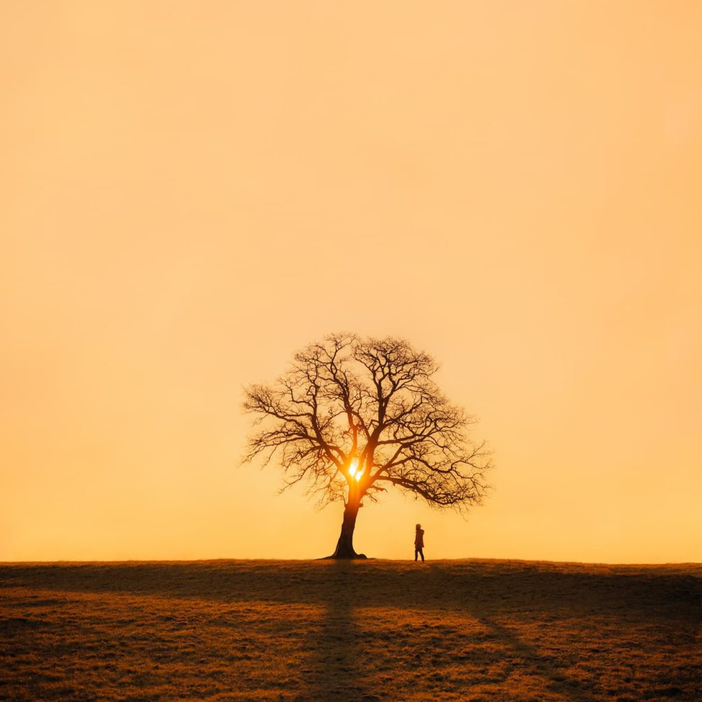 @marinaweishaupt, Tree of life