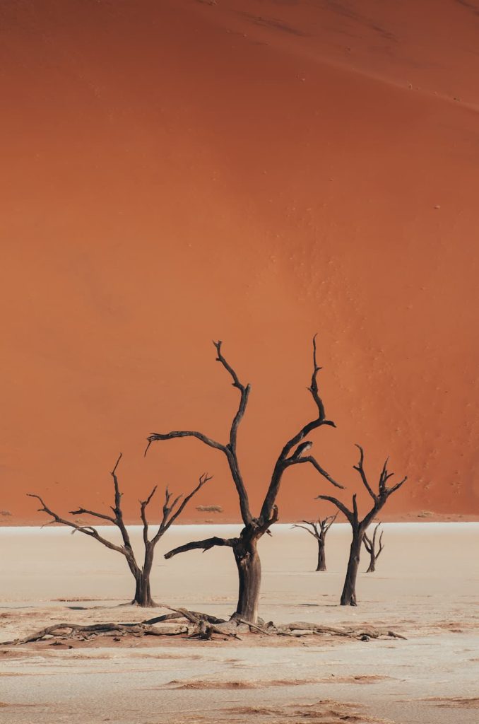 namibia_sossusvlei2_@joericlement