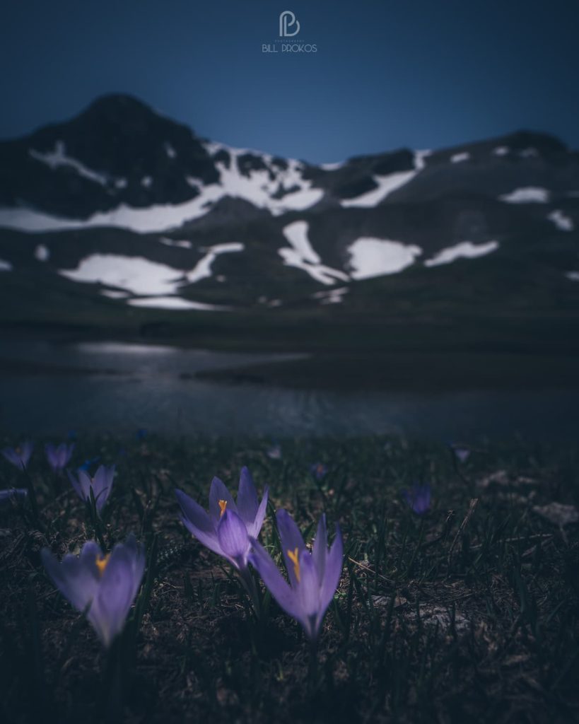 @bill_prokos_ - Nomadict - Mountains - Blue hour