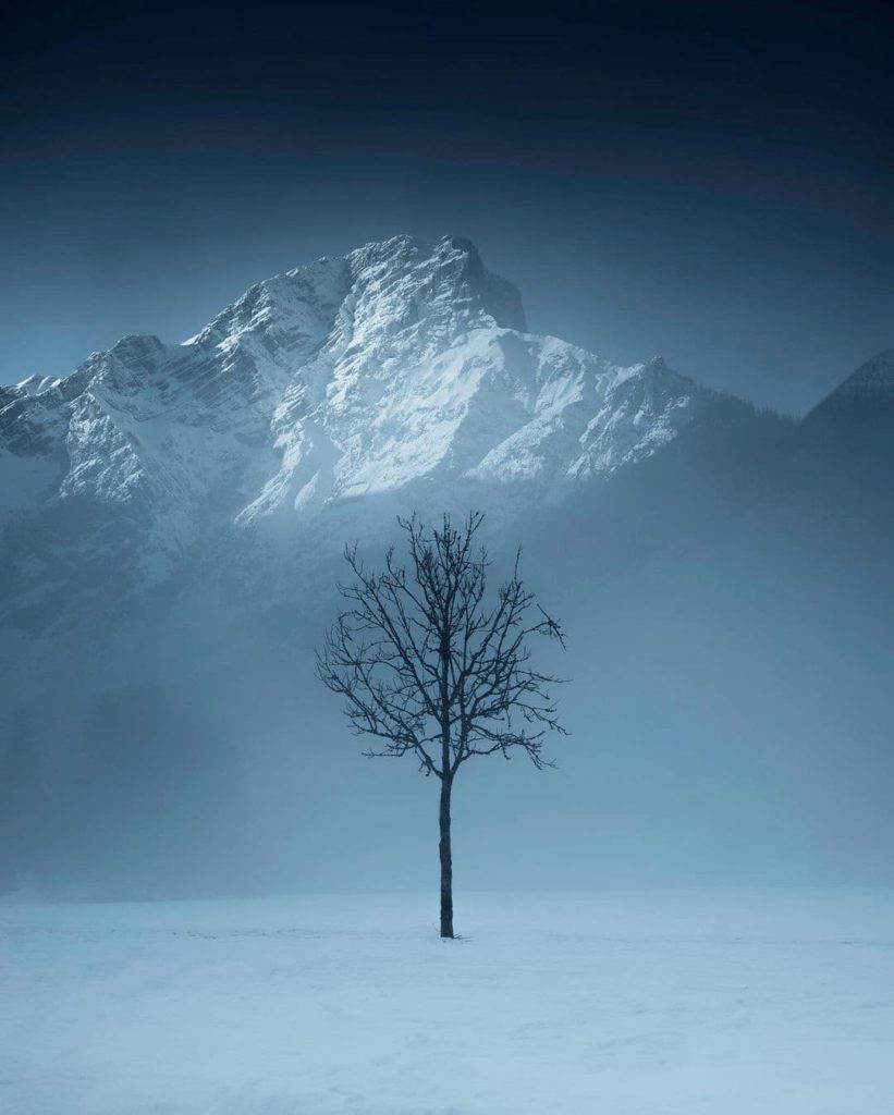@ogik_jatmiko - Austria - Lone Tree