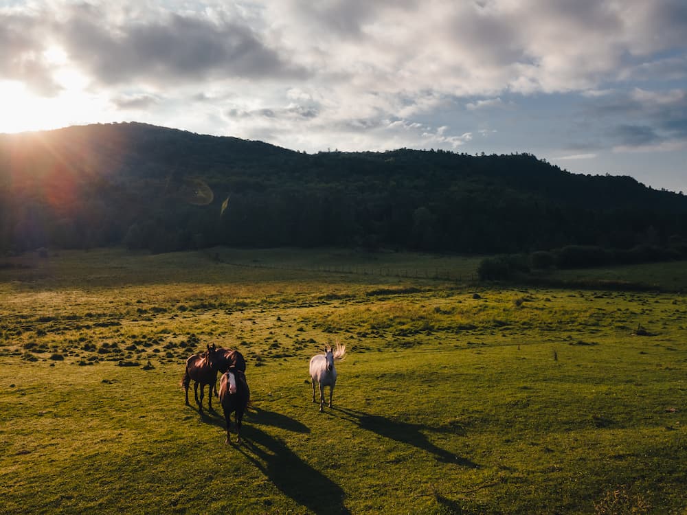 @bea.ventures_Quebec Outaouais