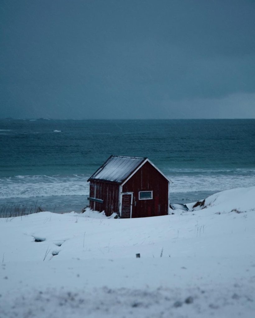 @alicegueguin_Coast_Norway_Cabin_view