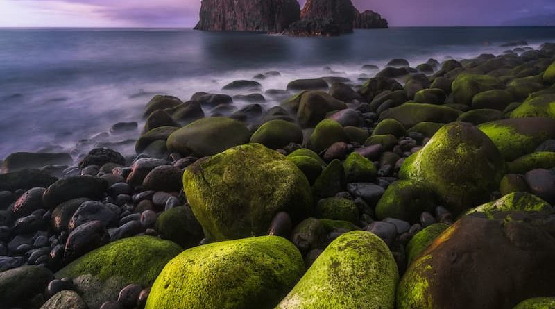 Madeira - Portugal - Stefano Balma