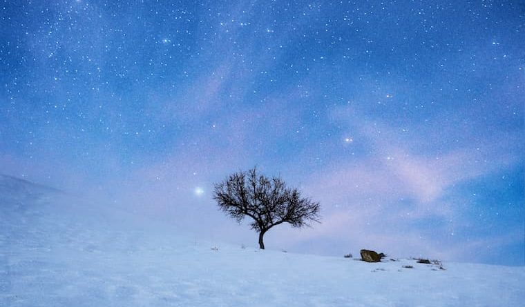 Turkey, Aksaray Province, Nikola Savic (Wildlike Destination)