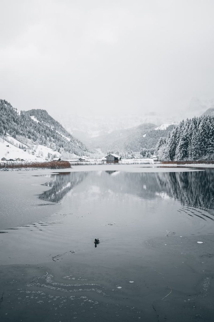 @marcolopesphotography - Switzerland - Lenk im Simmental - Marco Lopes (2)