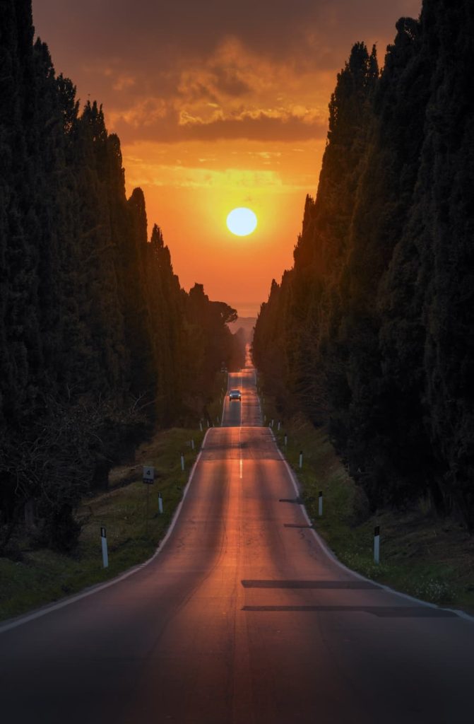 @stefanogelli_photography - Viale dei Cipressi-Bolgheri-Gelli