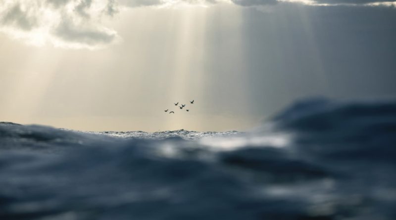 @warrenkeelan - WarrenKeelan -Ascension