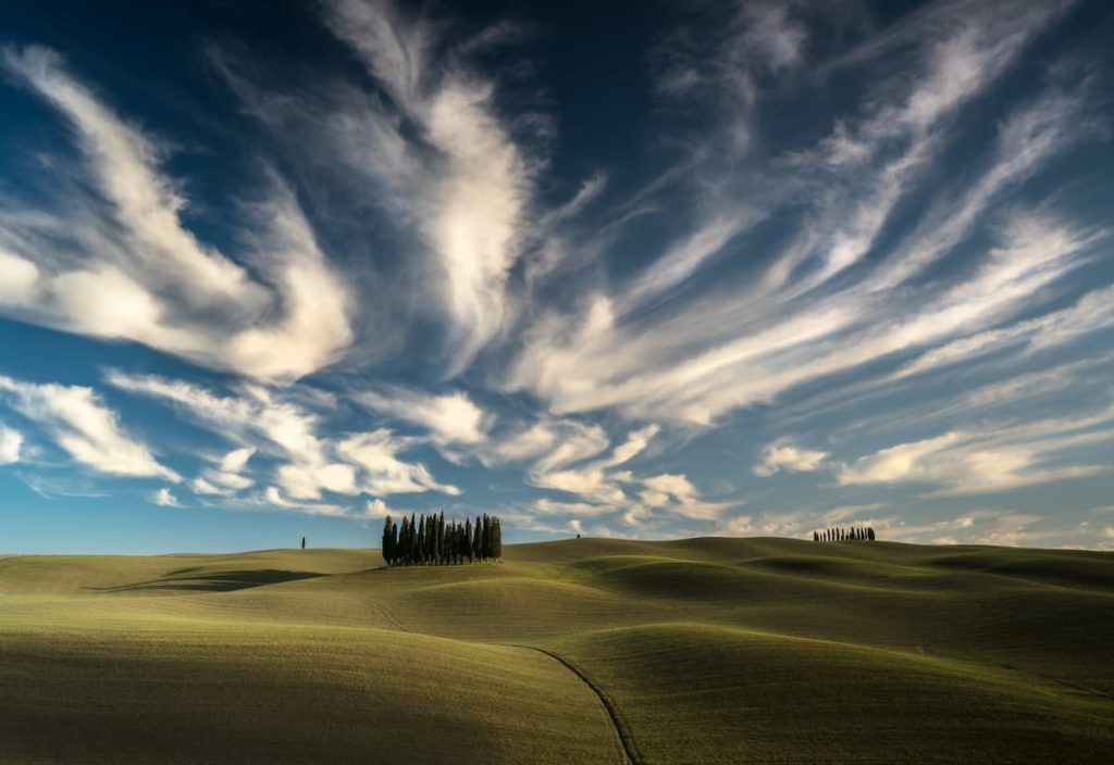 Stefano Gelli -Cipressi di San Quirico-Gelli