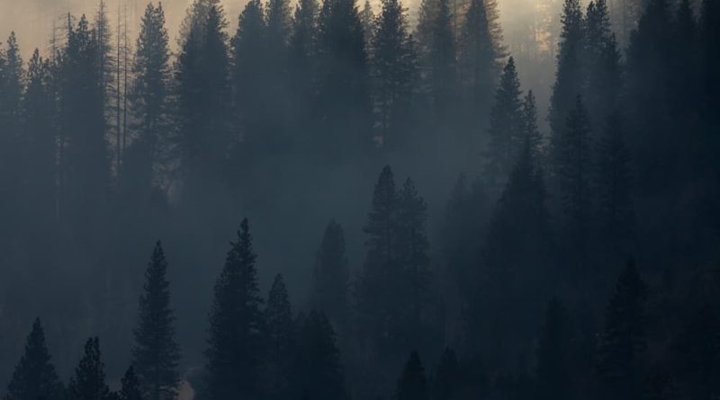 U.S. Yosemite National Park David Lomas - @lomscape