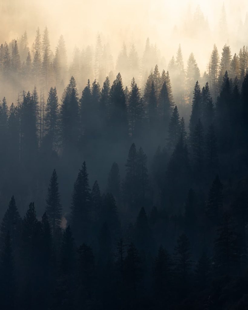 U.S. Yosemite National Park David Lomas - @lomscape