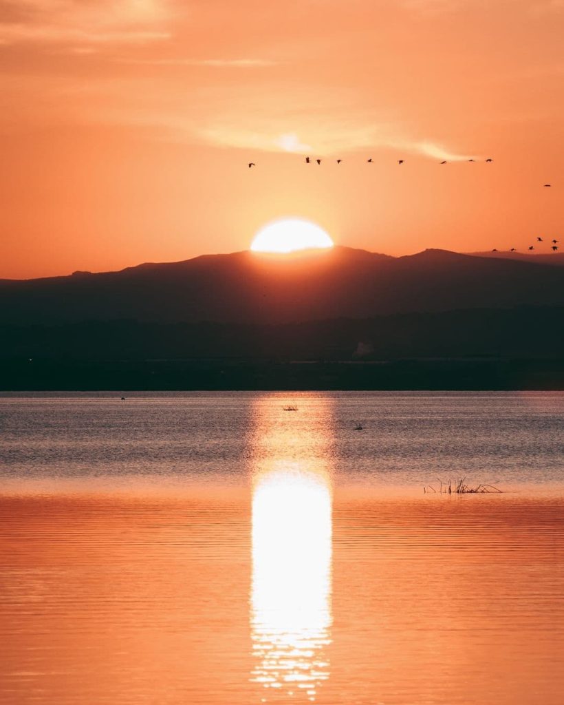 @davison7_Valencia_Albufera