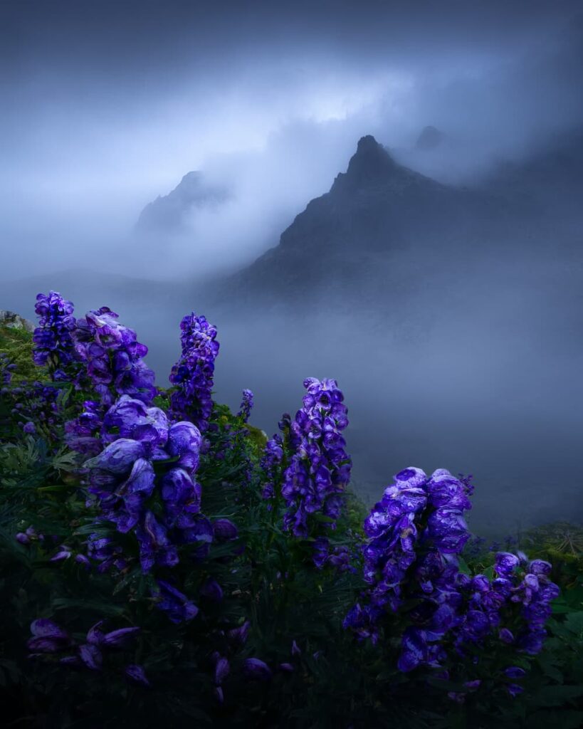 @filiphrebenda - Apparition-of-giants---Slovakia---High-Tatras---Filip-Hrebenda---@filiphrebenda