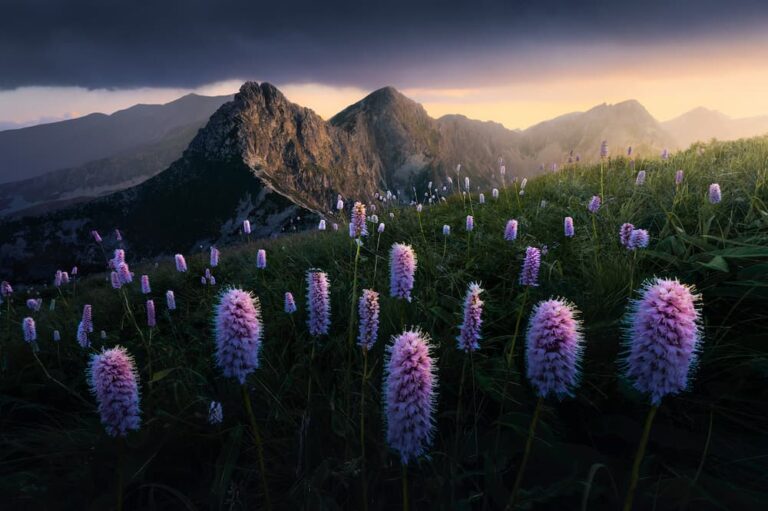 Slovakia---Western-Tatras---Filip-Hrebenda---@filiphrebenda