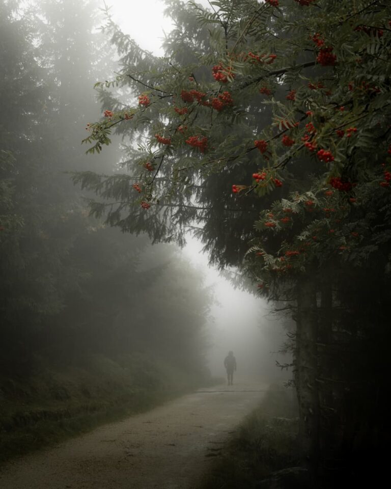 Poland_Karkonosze_Marek Piasecki (3)