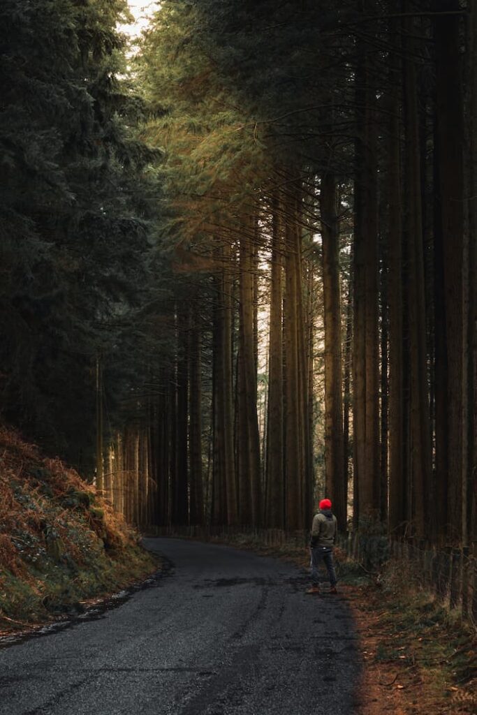 Wales-Elan Valley Epic Road - @iamcorm