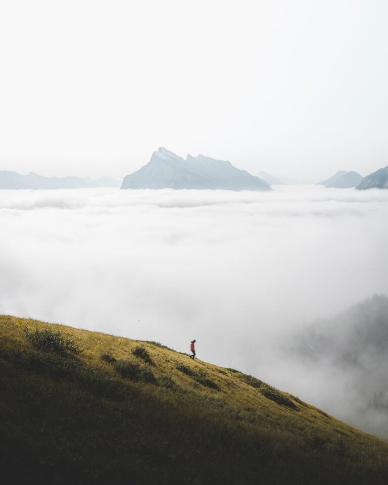 An Ocean of Clouds - @aaronsheffner - Banff, Alberta