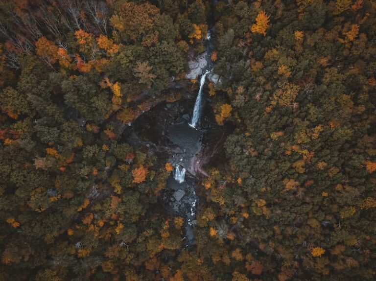 Danté DiGiovanni, @dantesjourneys, The Fall of Falls