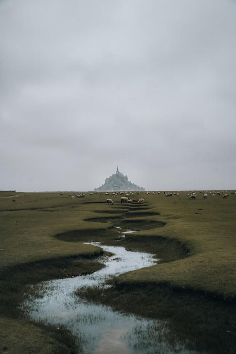 @cristianmor__Mt. Saint Michel