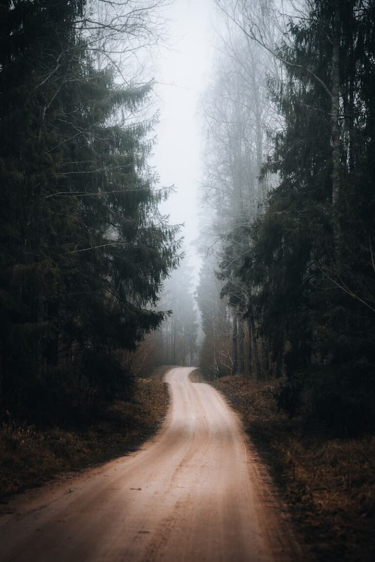 Lithuania, Kurtuvėnai regional park 2, Martynas Jatautas, @jmartynas