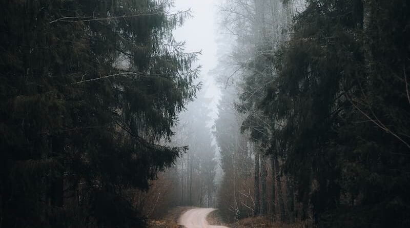 Lithuania, Kurtuvėnai regional park 2, Martynas Jatautas, @jmartynas