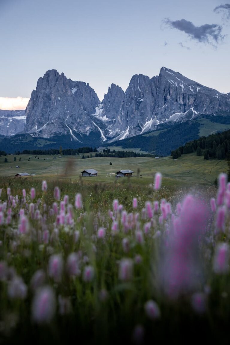 Italy_ Dolomites_AlpeDiSiusi_SouthTyrol_mattia_marasco_5041 (1)