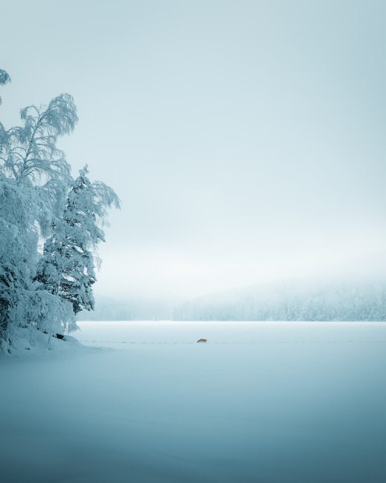 Svartvann, Norge. Patrick Ski Iversen