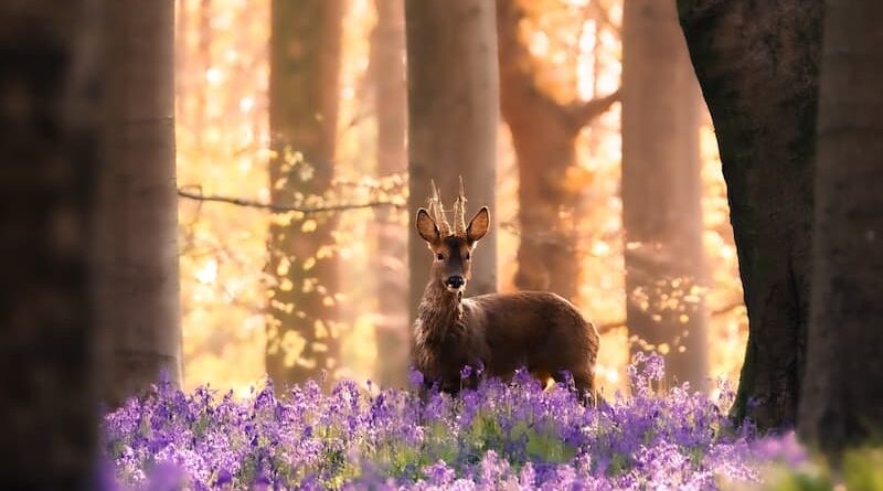 @shootingstills.co.uk_Winning photo