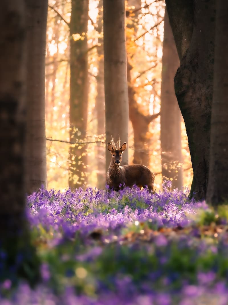 @shootingstills.co.uk_Winning photo