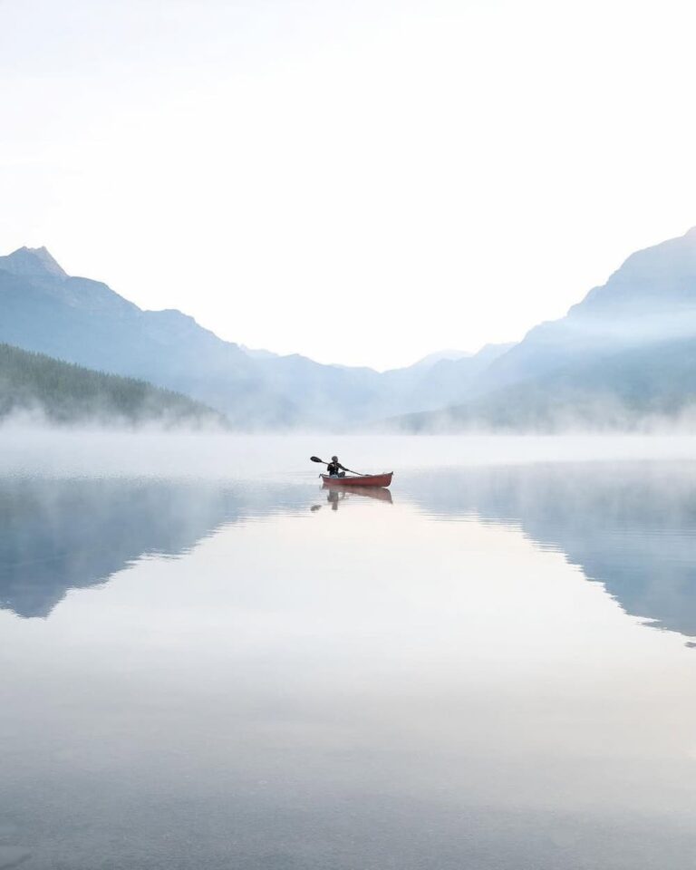 @amiralibmnd monochromatic color palette