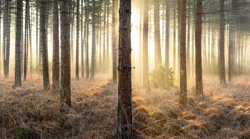 @leecooperphotography_Nomadict_1