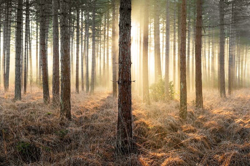 @leecooperphotography_Nomadict_1