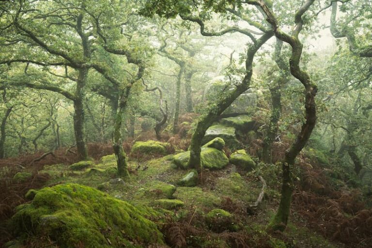 @leecooperphotography_Nomadict_12